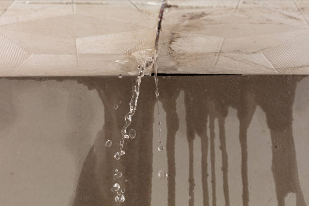 Professional Structural Drying technician working in Castalia, NC